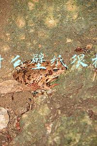 为什么高清壁纸在电脑上很模糊(为什么高清屏网站图片看起来模糊？)