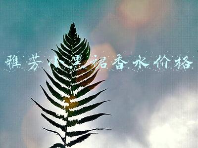 雅芳小黑裙香水价格