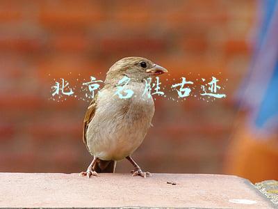 北京名胜古迹