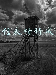 微信表情猜成语答案及图片(早安，10个看图猜成语)