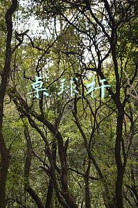 桌球杆入门级选什么比较好(想要半小时练好台球基本功？看这里：（1）球杆挑选教学)