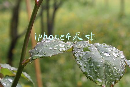 iphone4尺寸长宽厘米(iPhone4重制版曝光，无刘海配耳机插孔，向乔布斯致敬)