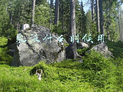 乳液什么时候用