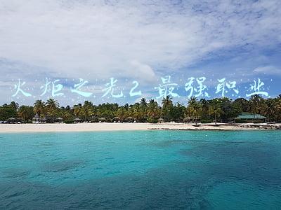 火炬之光2 最强职业