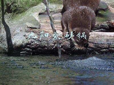 九阳紫砂锅