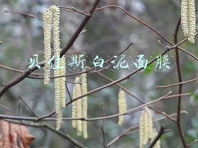贝佳斯白泥面膜
