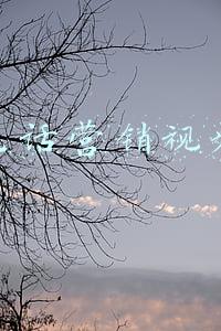 电话营销视频