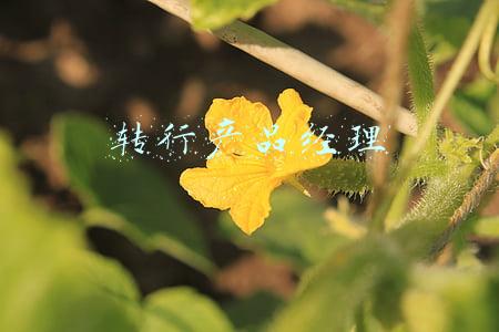 怎么转行产品经理(我是如何半年后成功转行成为产品经理的？)