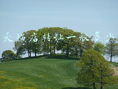 转让天猫店的平台(天猫店转让平台排行)