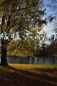 网站的宣传与推广(网站建设如何做好推广)