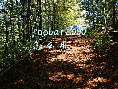 foobar2000怎么用手机上(真HiFi or 智商税？体验享声AMC-D1)