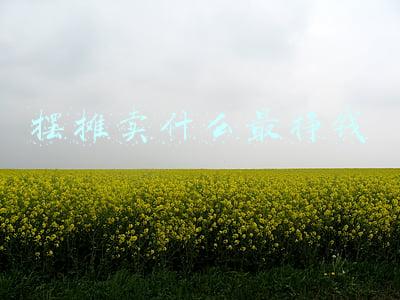 摆摊卖什么最挣钱