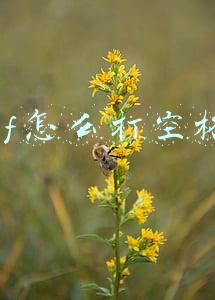 cf怎么打空格名(穿越火线空白名为何不能改，因特质太逆天了)