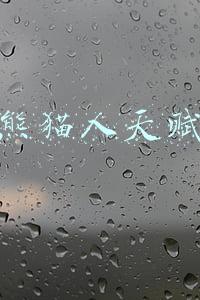熊猫人天赋技能(《魔兽世界》9.0熊猫人种族天赋介绍)