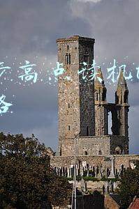 步步高点读机t800多少钱(紧急扩散！这些你熟悉的点读机、家教机可能不防电击)