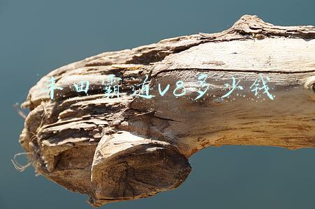 丰田霸道v8多少钱一辆图片(逃回国内前，上林采金老板把丰田霸道V8低价卖给黑人)