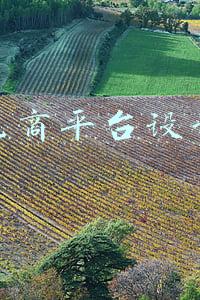 电商平台设计方案(如何打造电商私域流量池电商私域落地完整解决方案)