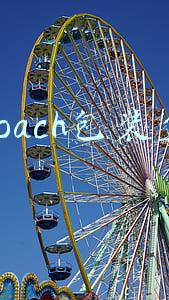 coach包装盒
