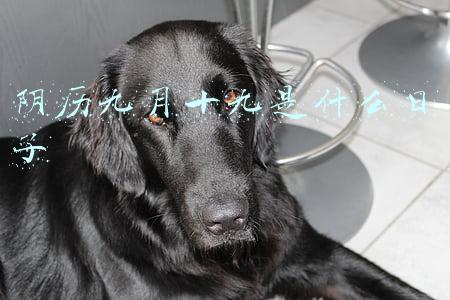 阳历九月十九日是什么日子(长征日历：1月19日)