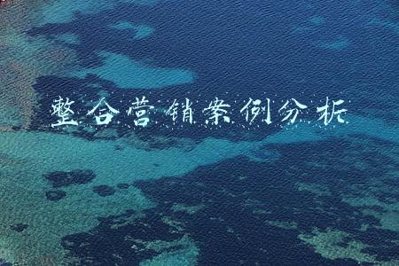 整合营销案例分析
