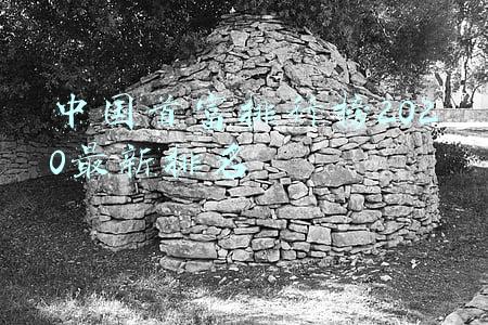 中国首富排行榜2020最新排名马云排第几(2020胡润百富榜出炉：马云四度登顶中国首富 钟睒睒、王卫成最大黑马)