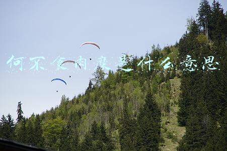 何不食肉糜什么意思(古文经典温习：何不食肉糜)