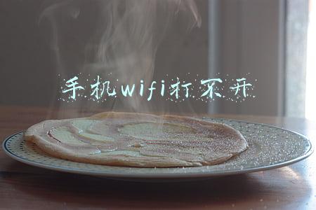 手机wifi打不开