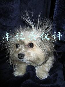 行车记录仪评测