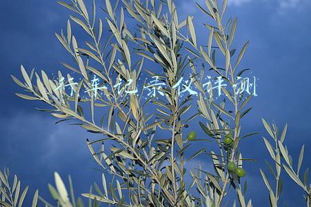行车记录仪评测