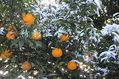 精影显卡怎么样贴吧(2021年DIY市场回顾专题（二）：板U显卡三大件)