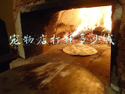 宠物打针多少钱一针-给宠物打针多少钱