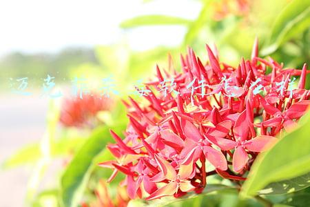 迈克菲杀毒软件怎么样