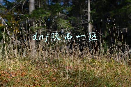 dnf陕西一区属于哪个大区(DNF天御白手，从非酋到欧洲人的主C之路)