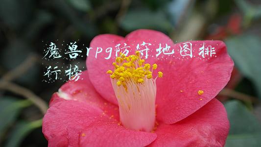 魔兽rpg游戏排行榜(最值得关注的3A级MMO：谁是后RPG时代现象级大作？)