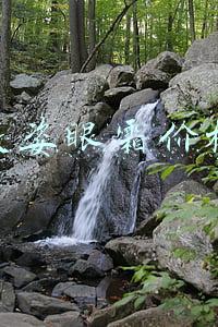 悦薇眼霜价格(四款最有效的眼霜，每一支都是人气王，不要盲目跟风贵妇牌)