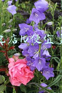 海南免税店能便宜多少钱（海南免税店能便宜多少）