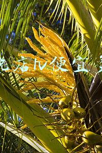 苹果免税店能便宜多少，苹果免税店能便宜多少钱