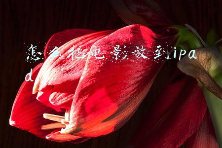 怎么把电影放到ipad 怎么把电影放到ipad