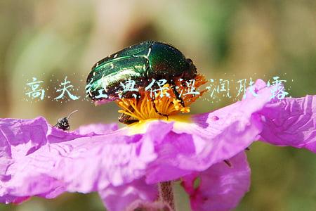 高夫经典保湿润肤露保质期(2020年上海市乳制品商品（过度）包装监督抽查结果公布)