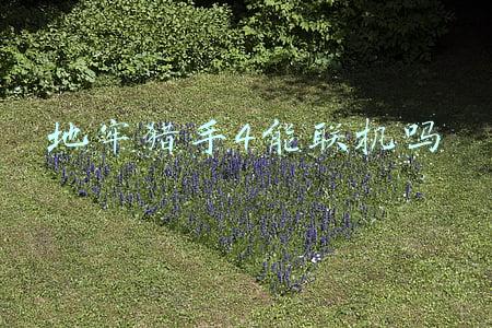 地牢猎手4安卓版(《地牢猎手4》手游评测)