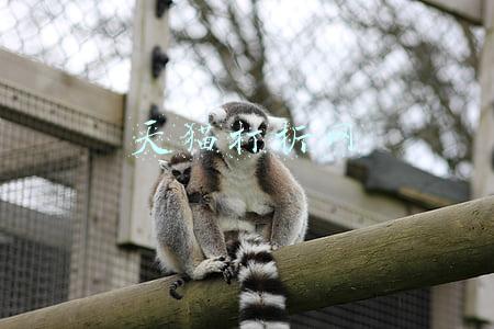 天猫优惠券18惠网(必看活动：天猫 2019年双11玩法总攻略，瓜分20亿红包)