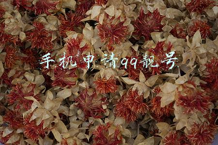 手机申请qq号(手机qq如何申请小号)