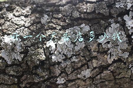 开一个广告公司需要多少钱《开一个广告店大概需要多少钱》