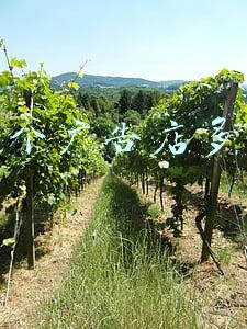 怎么开京东店：如何在京东开一个店