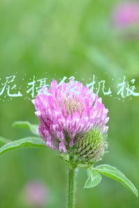 索尼摄像机报价