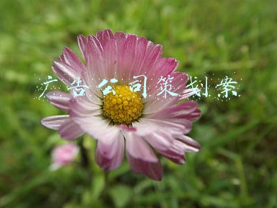 广告公司策划案