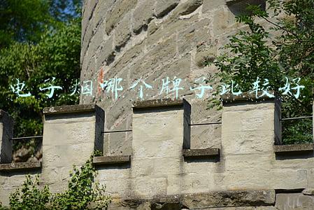 电子烟哪个牌子比较好
