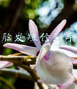 电脑发短信到手机
