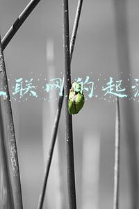 互联网的起源历史(记录中国电力的发展与变革)