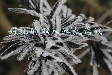 好玩的双人单机游戏下载(可以玩一整个暑假的单机游戏（手机版）)